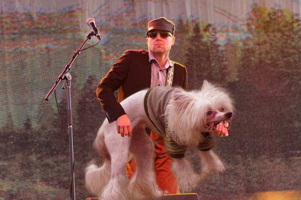I typed in "dogs and guitars." This is one of the many wonderful things I found. 