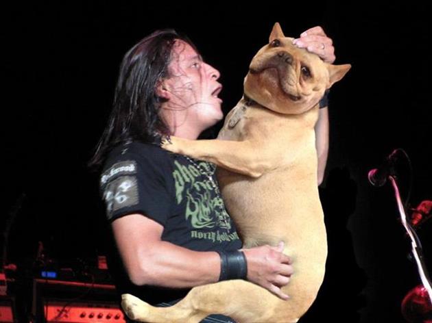 Dogs replacing guitars will never, EVER get old. 